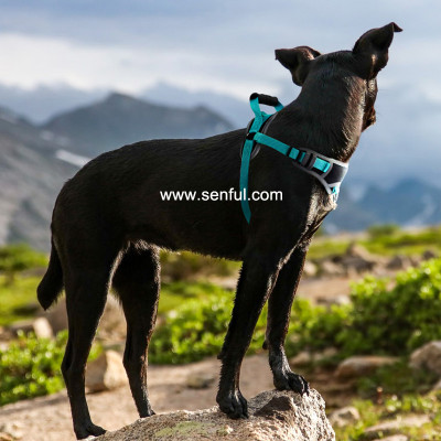 SDL5099: Dog Harness