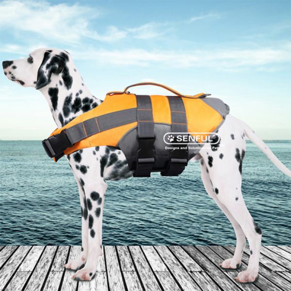 SBB1219(main) SBB1219(main)