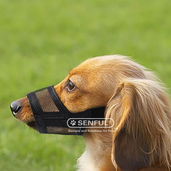 SBB1226(main) SBB1226(main)