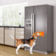 Interior of modern kitchen, fridge,dishwasher,oven 3d rendering; Shutterstock ID 422909950