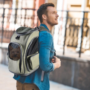 handsome young tourist with backpack walking by street and looking up; Shutterstock ID 1194063424; Project: -; other: -; Product: -; Team: -