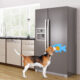 Interior of modern kitchen, fridge,dishwasher,oven 3d rendering; Shutterstock ID 422909950
