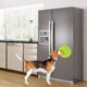 Interior of modern kitchen, fridge,dishwasher,oven 3d rendering; Shutterstock ID 422909950