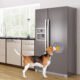 Interior of modern kitchen, fridge,dishwasher,oven 3d rendering; Shutterstock ID 422909950