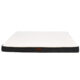 SBH5559(ft-2)-