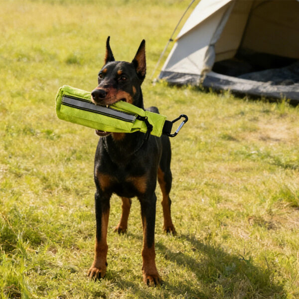 SBB1262(main)- SBB1262(main)-